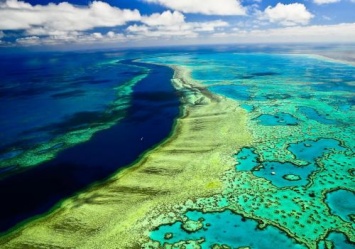 В Австралии будут стрелять солью в небо для спасения Большого Барьерного рифа