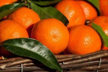Пензенец нашел в супермаркете новый сорт «космического» апельсина