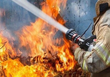 Пожары не утихают: в Запорожье и области огонь уничтожает гектары дикой природы