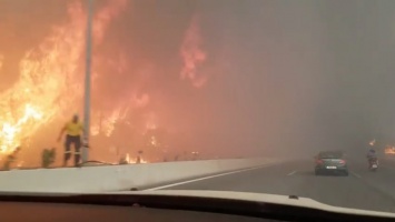 Появились видео и фото смертоносных пожаров в Греции. Люди спасаются от огня в море