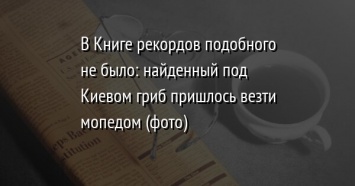 В Книге рекордов подобного не было: найденный под Киевом гриб пришлось везти мопедом (фото)