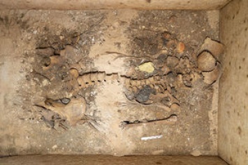 В Греции археологи обнаружили старинную гробницу с множеством драгоценностей