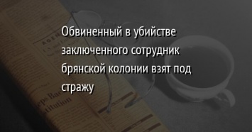 Обвиненный в убийстве заключенного сотрудник брянской колонии взят под стражу