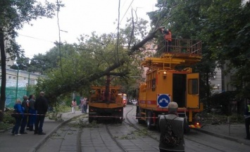 Поваленные деревья, билборды и затопленные подземные переходы: в Киеве ликвидируют последствия ливня (ФОТО, ВИДЕО)