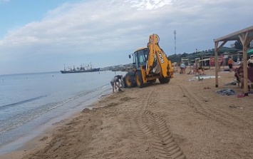 Жители Лисок и арендаторы пляжей очистили берег в своем микрорайоне