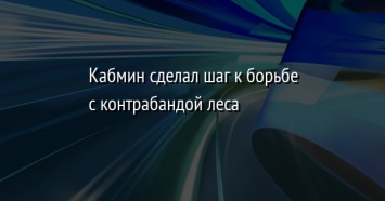 Кабмин сделал шаг к борьбе с контрабандой леса