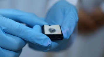 На Шри-Ланке найден голубой алмаз переправленный вором из ОАЭ в коробке с обувью