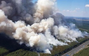 К Берлину приближается крупный лесной пожар