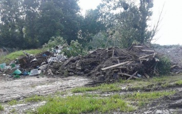 Ущерб от свалки в парке Львова оценили в 110 млн гривен