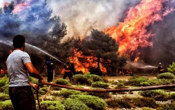 Пожары в Греции: число жертв возросло до 87