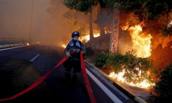 Пожары в Греции: Установлена личность человека, которого подозревают разжигании костров