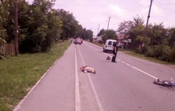 На Львовщине пьяный депутат въехал в автобус, а затем сбил насмерть женщину