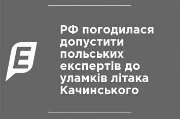 РФ согласилась допустить польских экспертов к обломкам самолета Качиньского