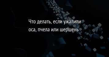 Что делать, если ужалили оса, пчела или шершень