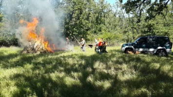 Криворожские спасатели учились тушить пожары в лесу