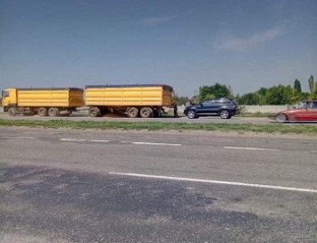 В Николаевской области водитель фуры, не желая заезжать на весы, ссыпал зерно на обочину (видео)