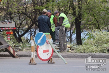 В Кривом Роге нужно уничтожить более 250 тысяч деревьев и кустарников