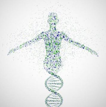 Ученые нашли «горячие точки» ДНК с высоким риском рака