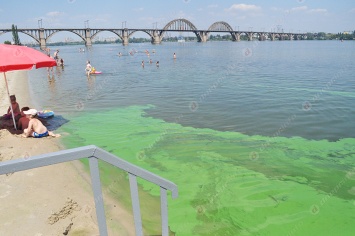 Каждым летом одним цветом: почему Днепр зеленеет и чем это чревато для украинцев - экологи предупреждают, что в главной реке Украины лучше летом не купаться