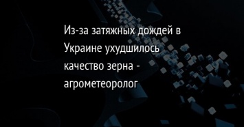 Из-за затяжных дождей в Украине ухудшилось качество зерна - агрометеоролог