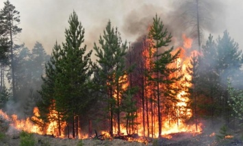 С начала года на Николаевщине пожар охватил 540 гектар открытой территории
