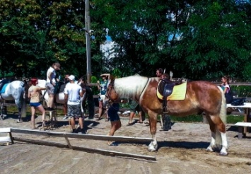 В Днепре спортсмены со всей Украины упражнялись в стрельбе из лука