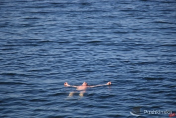 Ушли купаться и пропали: в Одесской области ищут двоих мужчин