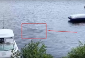 Загадочный объект попал в кадр видео на озере в США