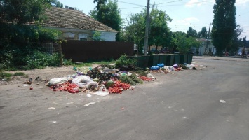 В Николаеве продавцы овощей устроили свалку гнилья возле жилых домов