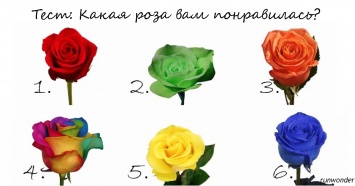 Выберите самую красивую розу - и узнаете о себе что-то интересное