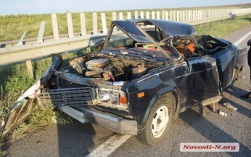 Авария на трассе «Николаев-Херсон»: из-за собаки серьезно травмирован водитель автомобиля