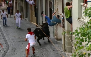 Нападение быка на мужчину сняли на видео