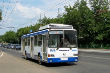 В Саранске на маленькую девочку упала штанга троллейбуса