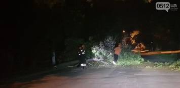 Спасателям ночью пришлось убирать дерево, которое упало на перекрестке Московской и Спасской