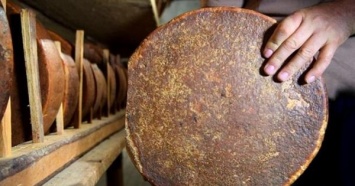 В египетской гробнице нашли сыр, которому более 3 тысяч лет