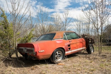 В США отыскали уникальный Ford Mustang, который был утерян полвека назад. Видео
