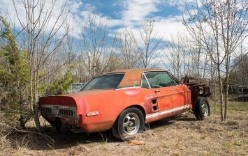 Уникальный Ford Mustang 20 лет простоял заброшенным во дворе