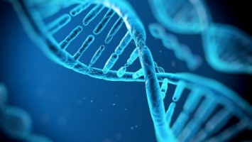 Ученые из «Сколково» изобрели бюджетный тест ДНК