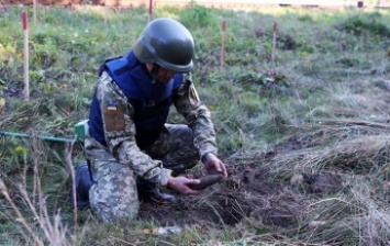 В Мелитополе пиротехники обезвредили 48 взрывоопасных предметов