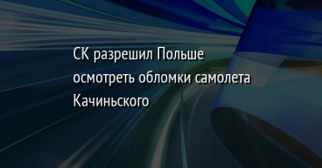 СК разрешил Польше осмотреть обломки самолета Качиньского