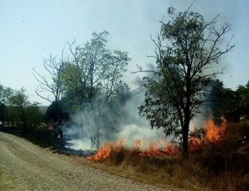 Количество возгораний сухой растительности в Крыму резко увеличилось