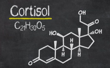 7 способов уменьшения уровня кортизола в вашем теле