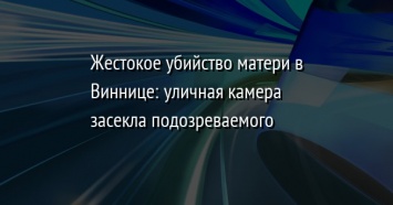 Жестокое убийство матери в Виннице: уличная камера засекла подозреваемого