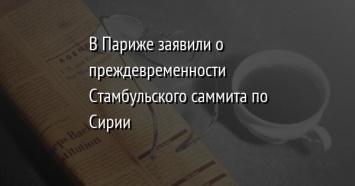 В Париже заявили о преждевременности Стамбульского саммита по Сирии