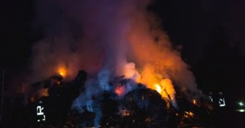 Грандиозный пожар под Киевом: весь Вышгород заволокло дымом
