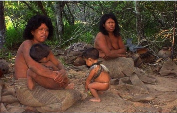 Дрон запечатлел ранее неизвестное племя в лесах Амазонки
