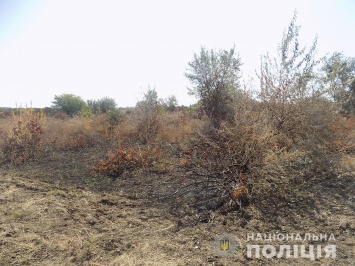 Сгоревшие виноградники в Шабо: в полиции отрицают факт случившегося