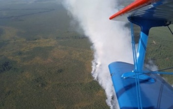 В Беларуси горят Ольманские болота