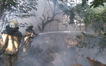 Вчера пожарно-спасательные подразделения Херсонщины 15 раз привлекались к ликвидации сухой травы и камыша на открытых территориях