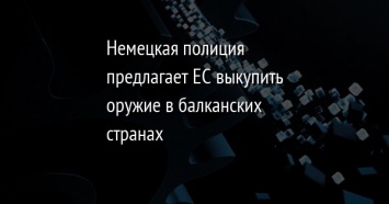 Немецкая полиция предлагает ЕС выкупить оружие в балканских странах